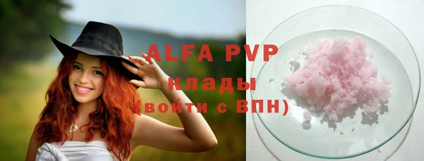 сатива Армянск