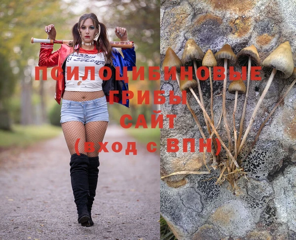 МДПВ Медногорск