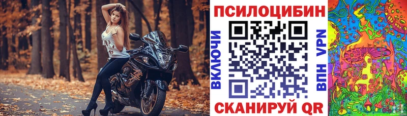 мега ONION  Фатеж  Галлюциногенные грибы мицелий  даркнет сайт 